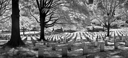 Graves of America's war dead at Arlington, 06/15/07. (photo: Bruce Dale/National Geographic)