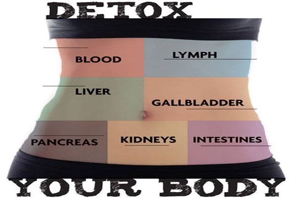 How to detox your body from GMOs and Pesticides