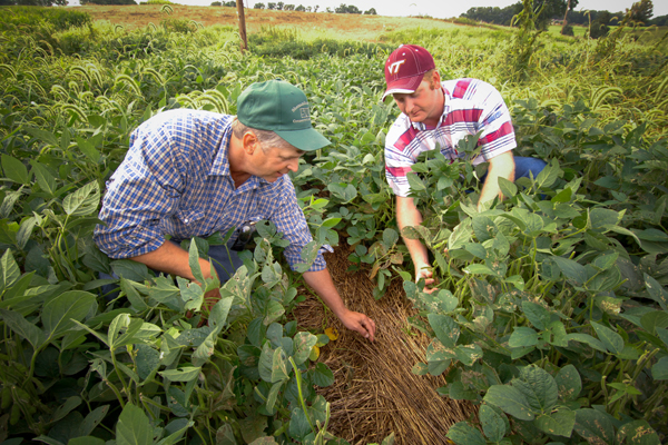 Landmark Agriculture Bill Now Law in Virginia