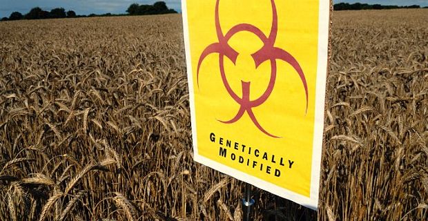 Monsanto Launches Damage Control Over GMO Cancer Study