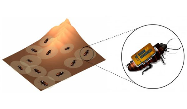 New software could allow cyborg insects to map buildings