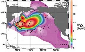  - This Department of Fisheries and Oceans map shows the surface water distribution of cesium-137 from Fukushima in 2012, when the main inventory of radioactivity had moved toward the central North Pacific. The plume is expected to shift almost entirely to North Americas west coast during the next five years. Fukushima radiation was detected in B.C. coastal waters in June 2013. - DFO graphic