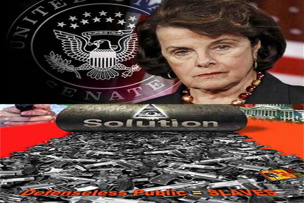 Sen Feinstein suggests national buyback of guns