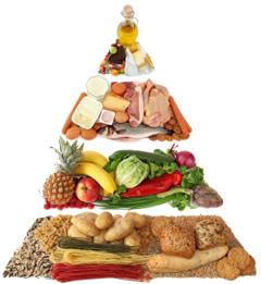 Food Pyramid