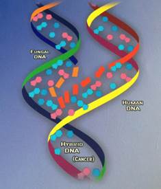 http://cdn3.drsircus.com/wp-content/uploads/2013/12/fungus6.jpg