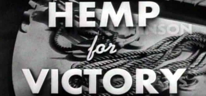 hemp victory2