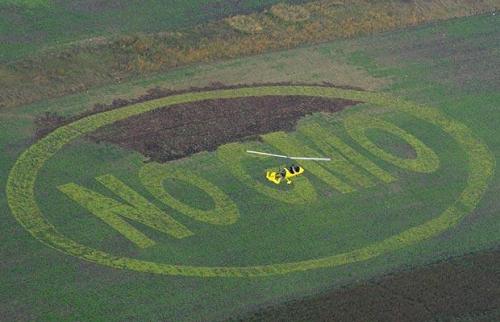 gmo