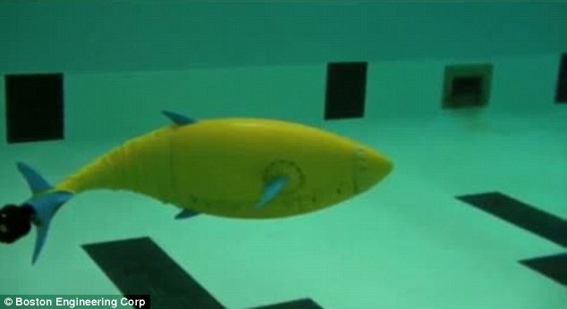 Trials: The BioSwimmer's flexible body and mechanical fins make it extremely maneuverable